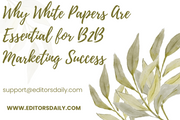 Why White Papers Are Essential for B2B Marketing Success